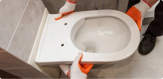 Reemplazo de sanitario